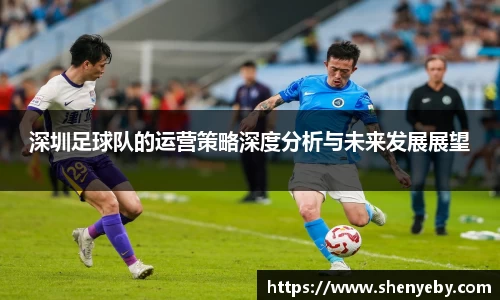 深圳足球队的运营策略深度分析与未来发展展望